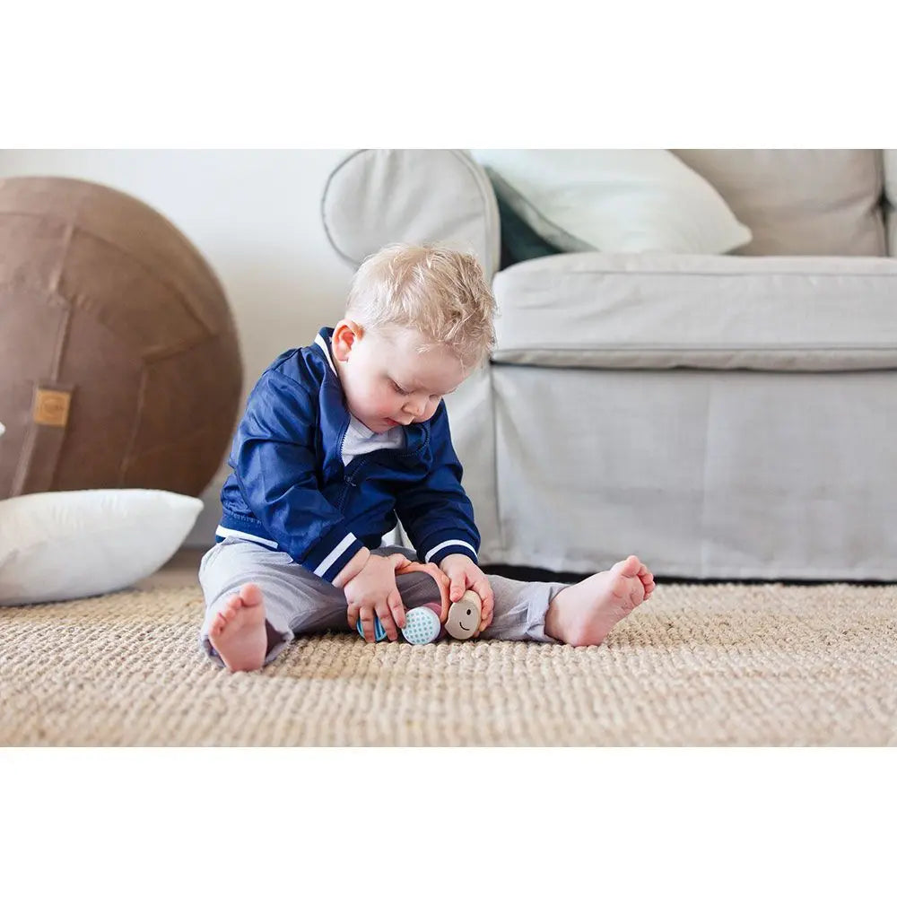 Hape Turbo Turtle