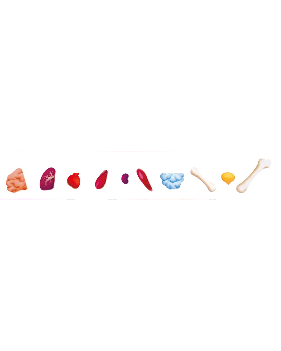 hape-50pc-human-body-puzzle