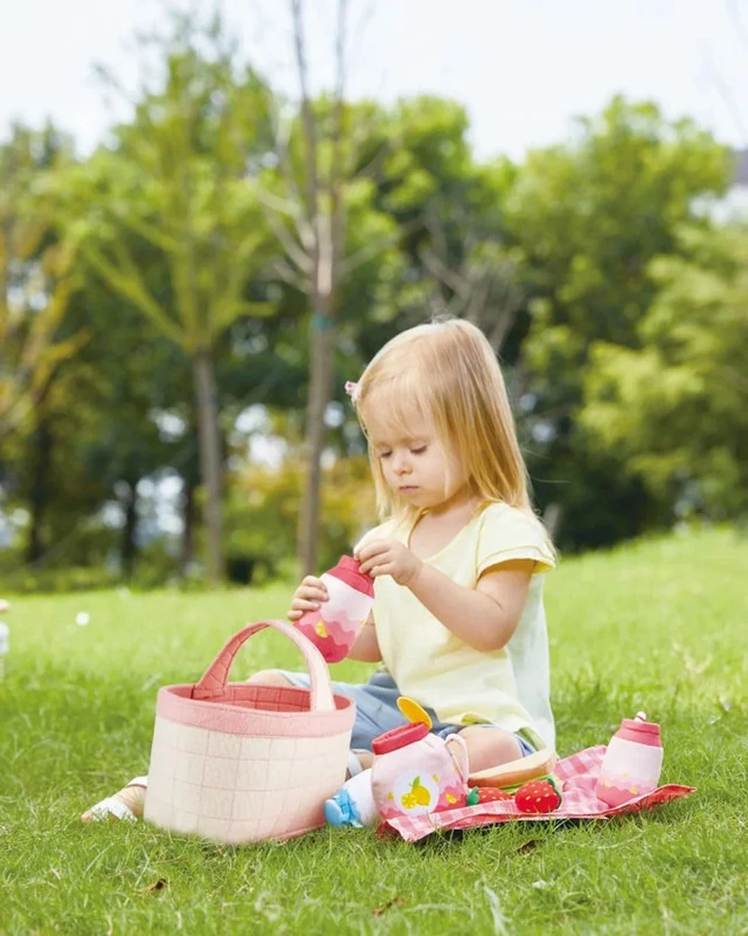 hape-toddler-picnic-basket