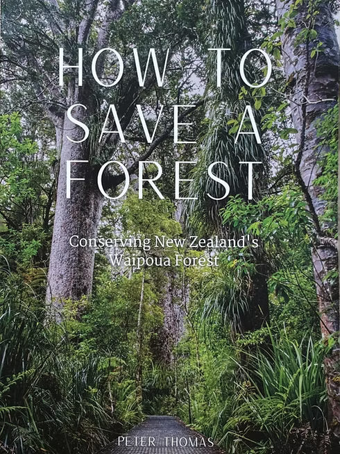 How to Save a Forest: Conserving New Zealand's Waipoua Forest