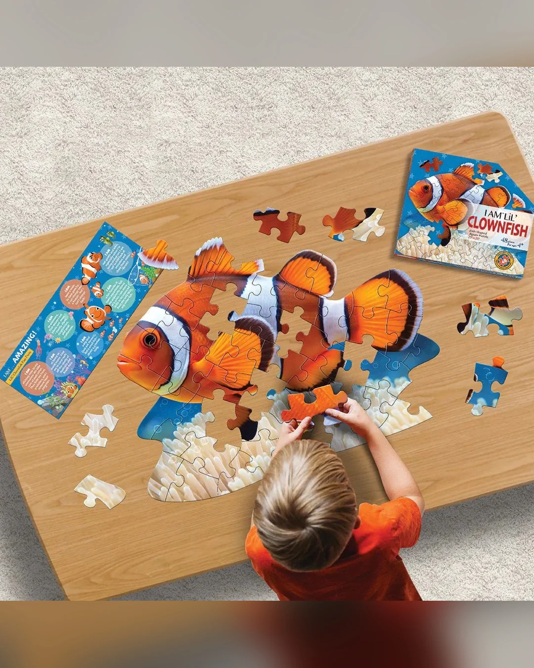 I Am Lil' Clown Fish - 48pc