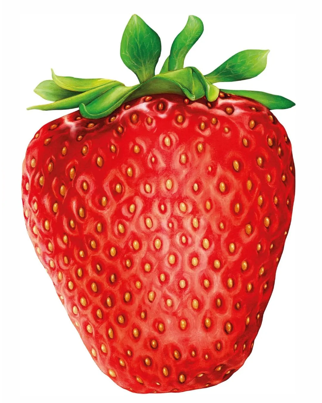 Hummingbird Australia I Like Strawberry 1000-Piece Jigsaw Puzzle-3