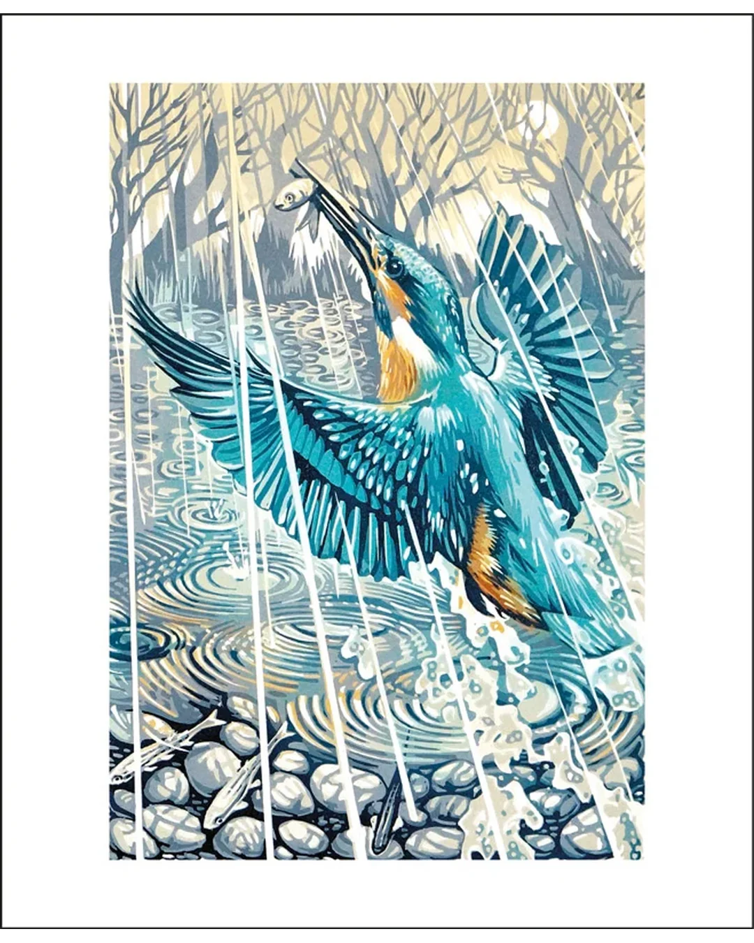 kingfisher-evening-rain