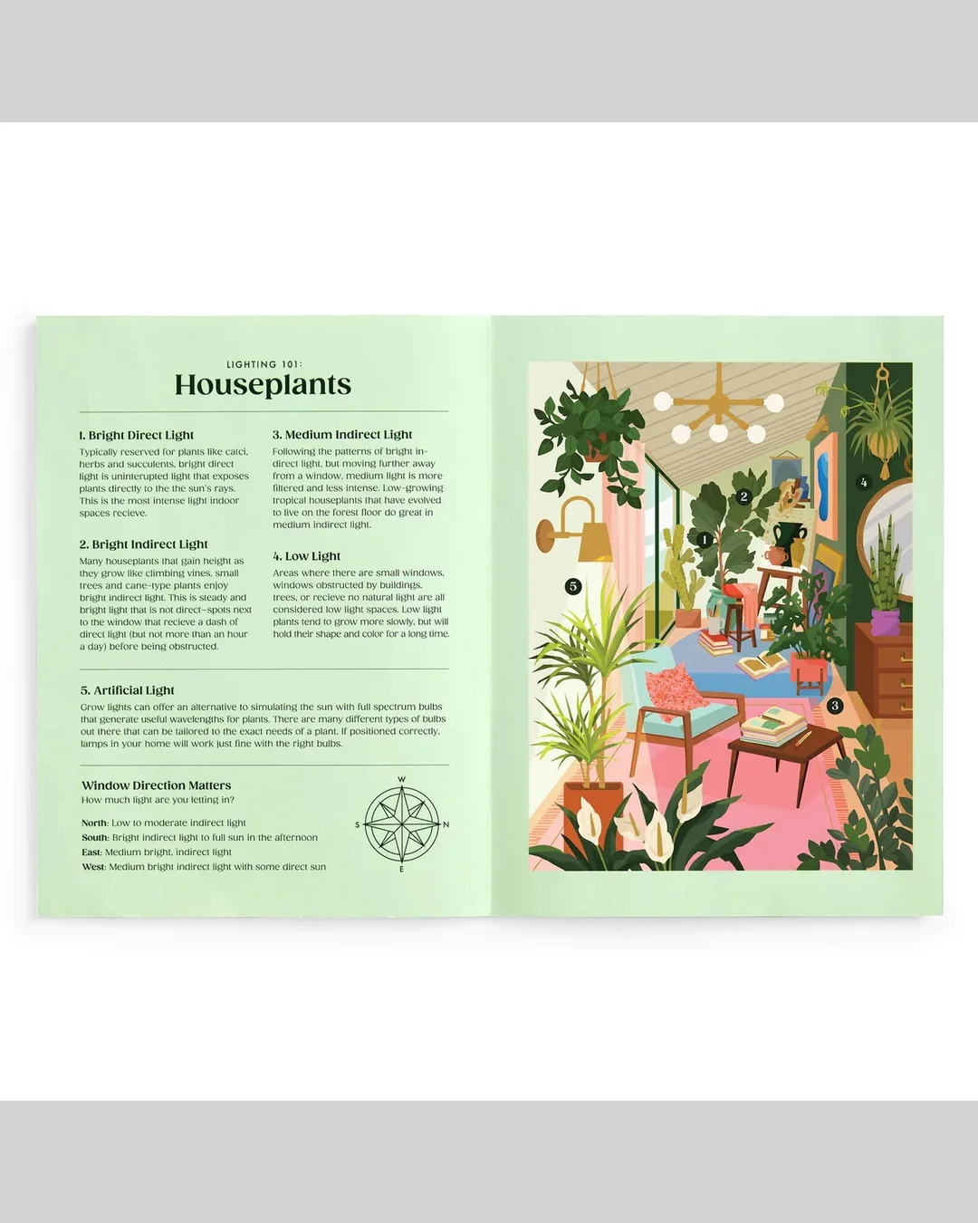 Galison Lighting 101: Houseplants 500-Piece Jigsaw Puzzle-5