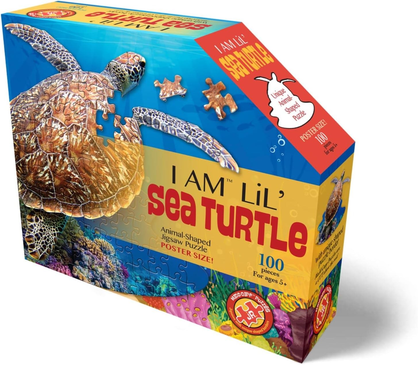I Am Lil' Sea Turtle - 100pc
