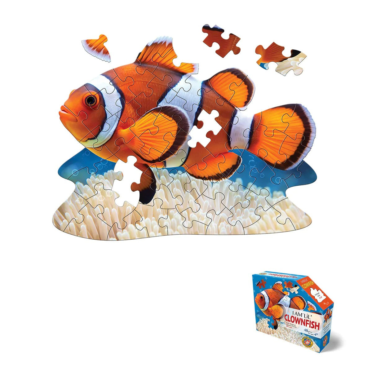 I Am Lil' Clownfish - 48pc