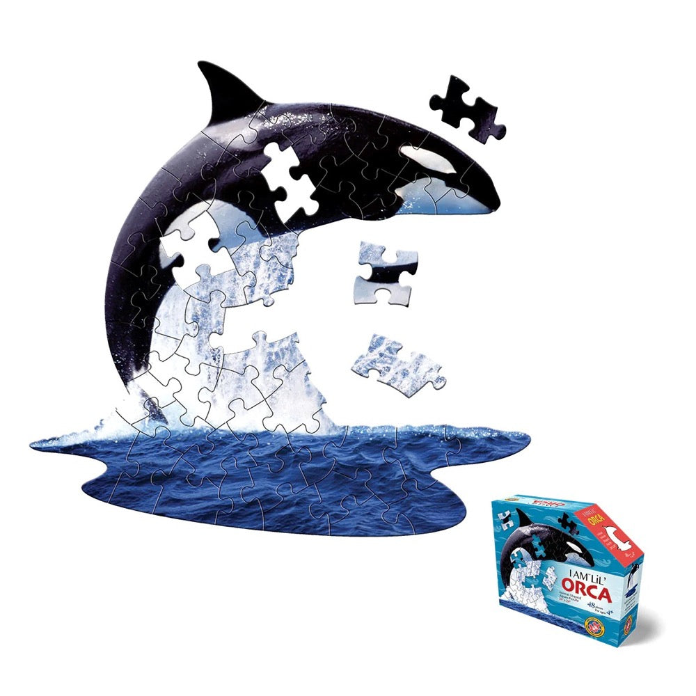I Am Lil' Orca - 48pc