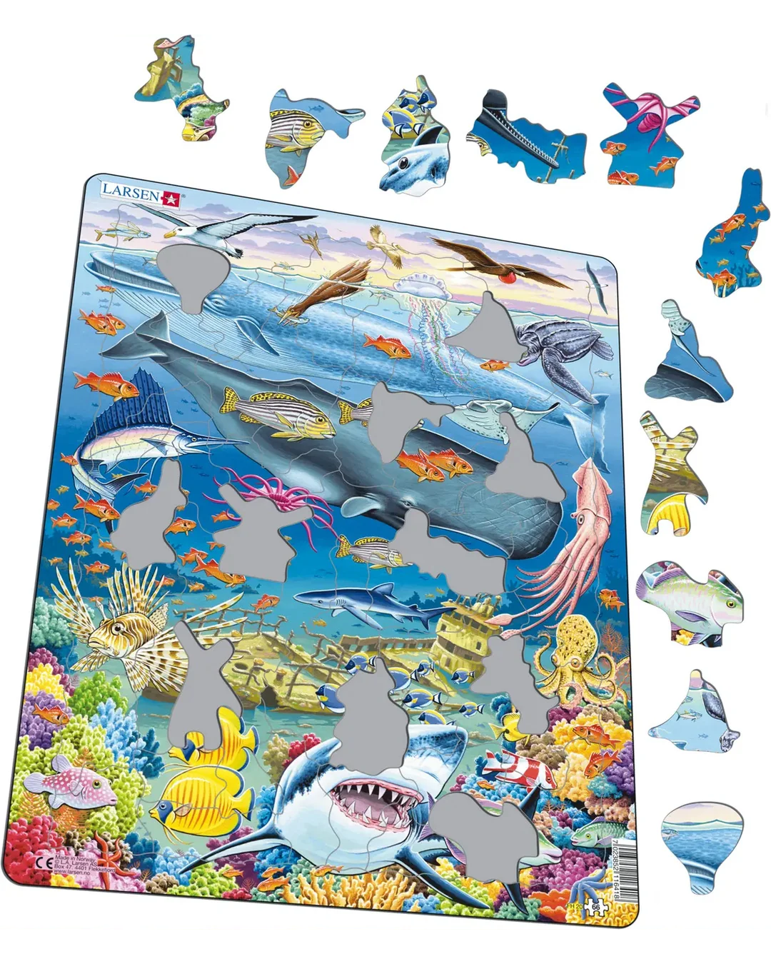 Larsen Marine Life in the Pacific Ocean 66-Piece Jigsaw Puzzle
