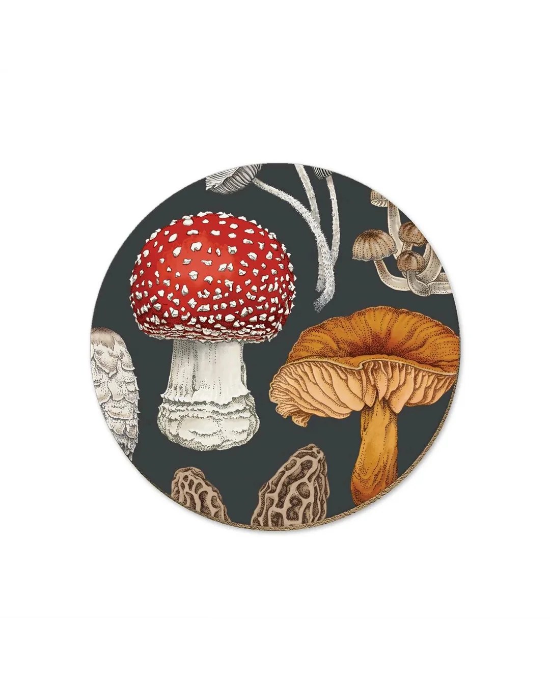 nz-fungi-morchella-coaster