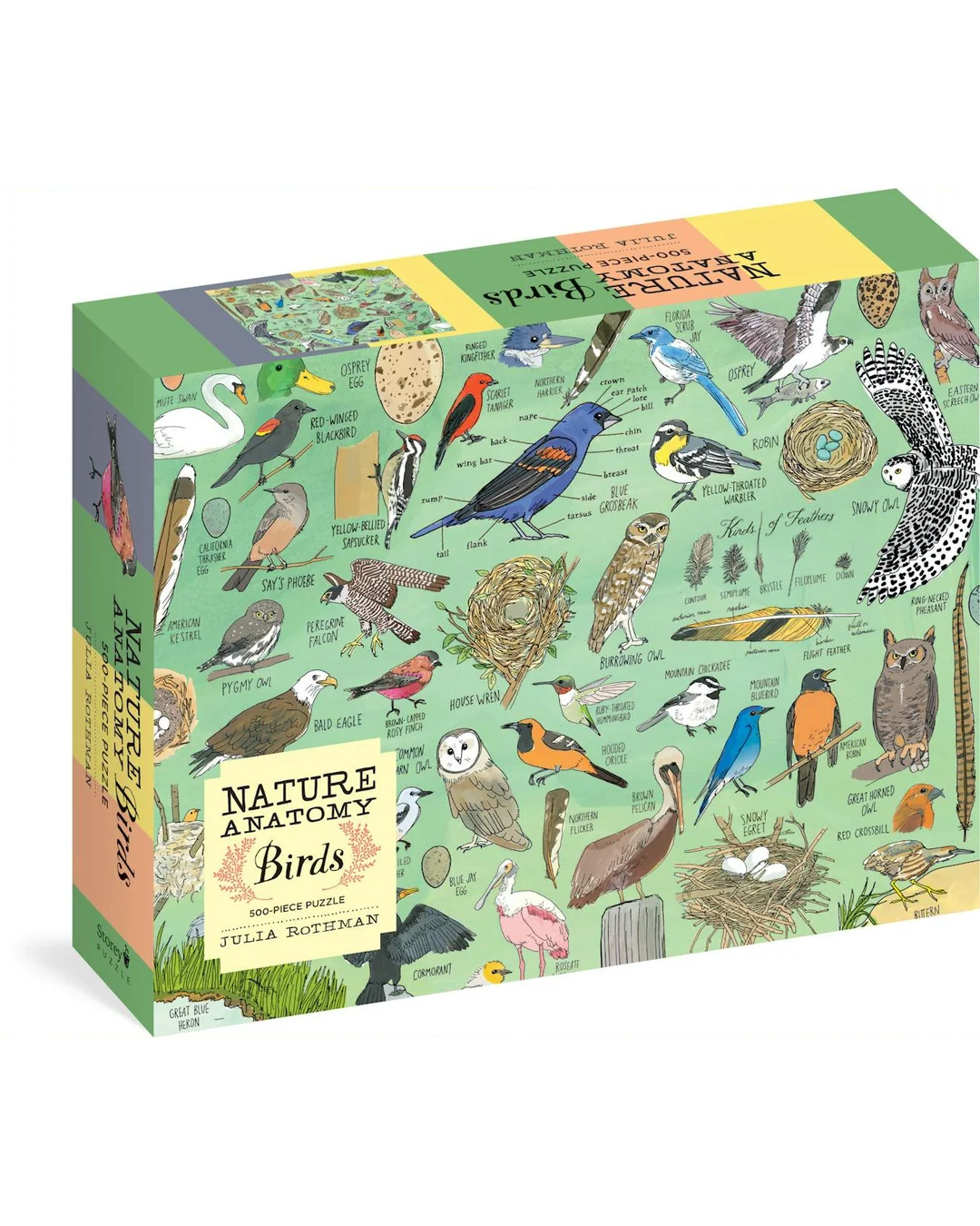 Nature Anatomy Birds 500pc Jigsaw Adult Jigsaws