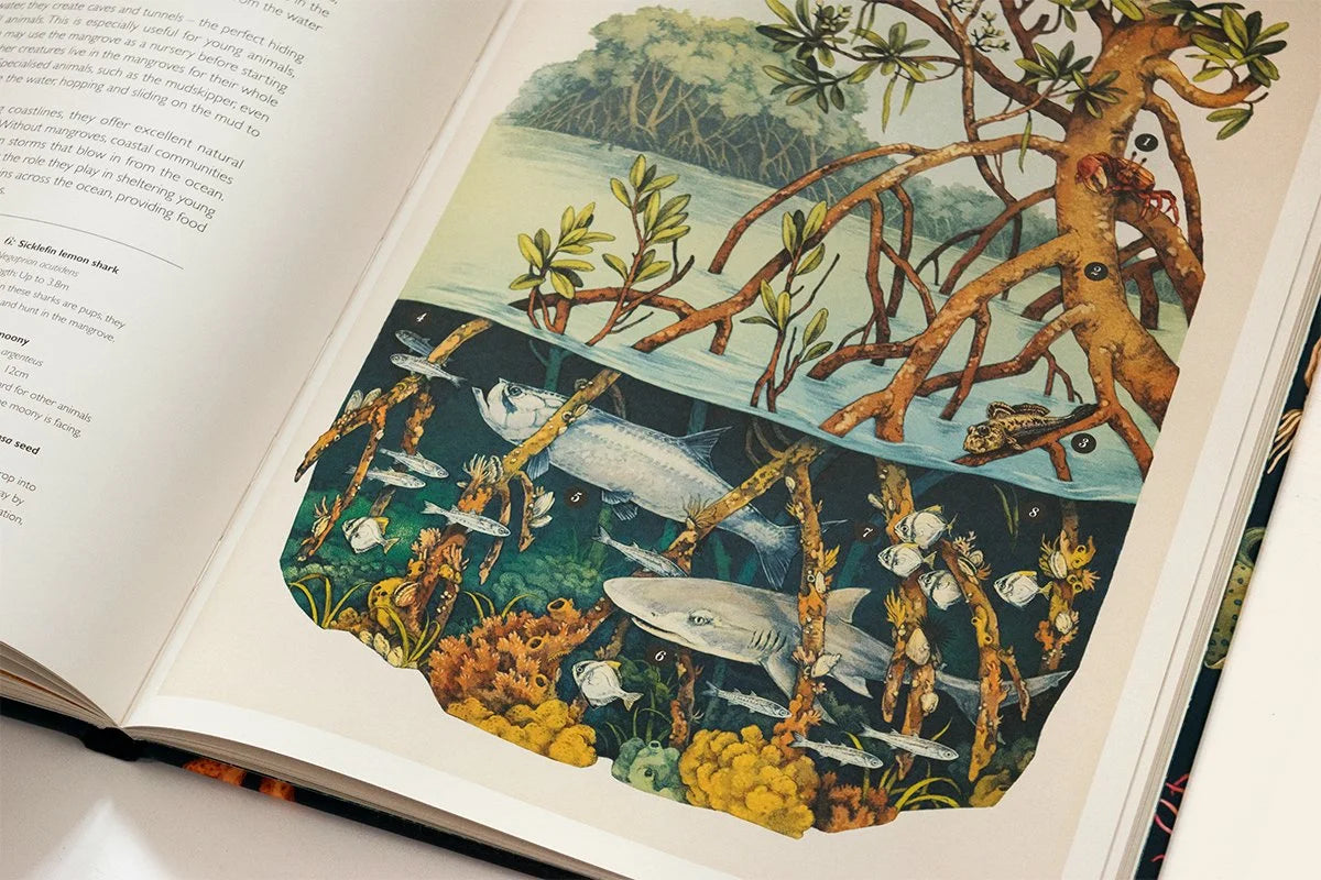 Oceanarium: Welcome to the Museum – Loveday Trinick