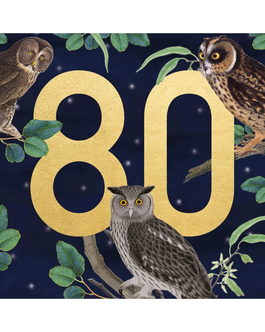 owls-80