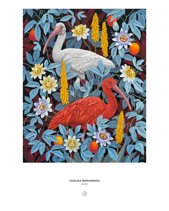 Pomegranate - Vasilisa Romanenko: Ibises - 1000 Pce Puzzle
