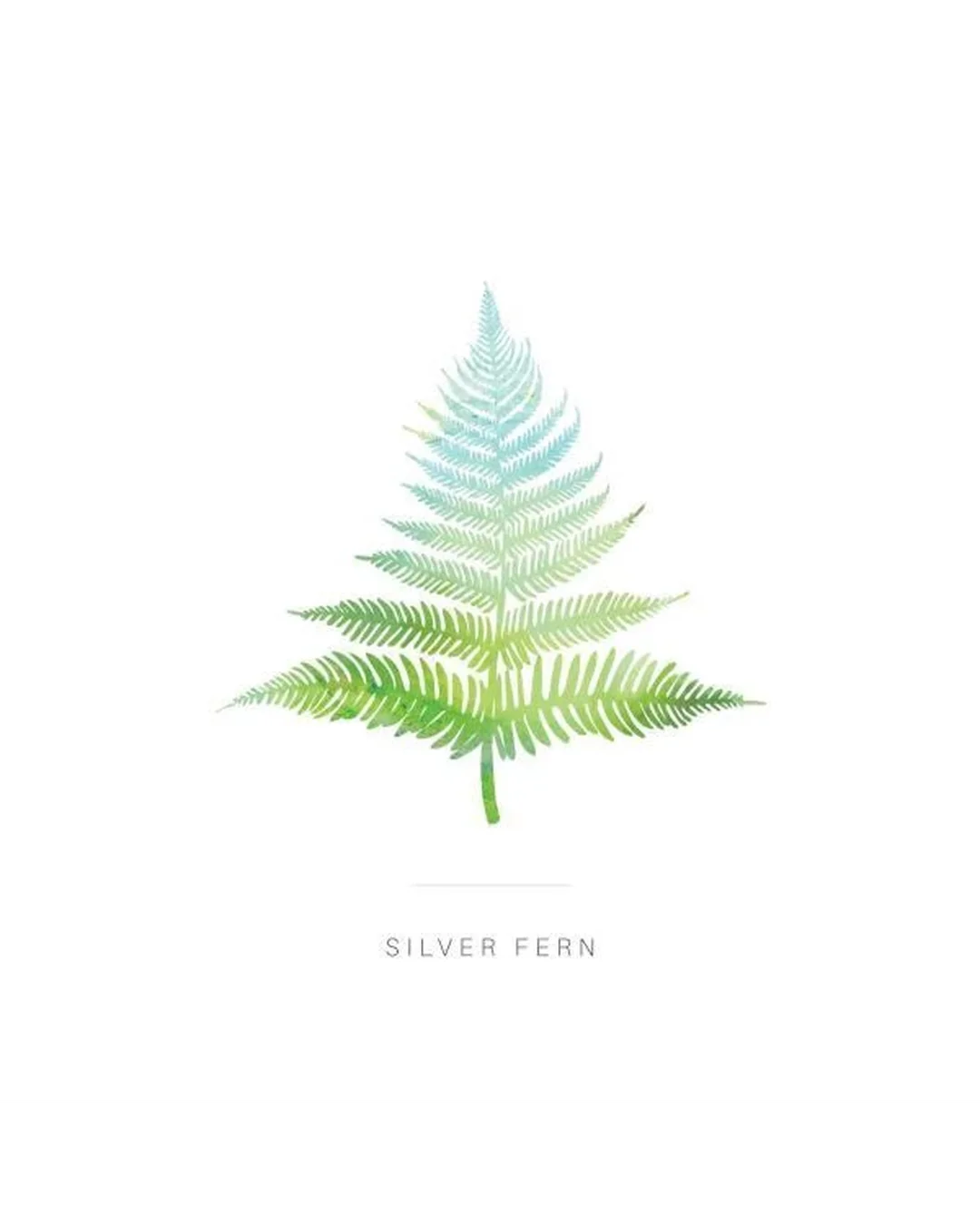 Silver Fern