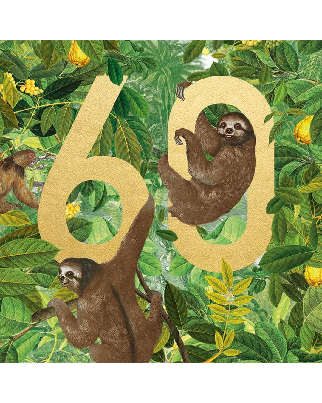 sloths-60