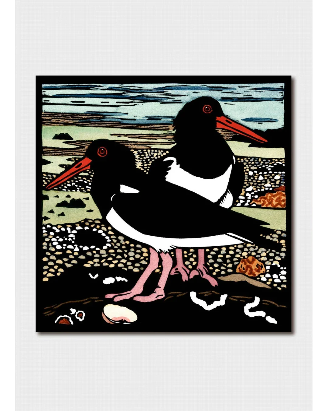 two-oyster-catchers