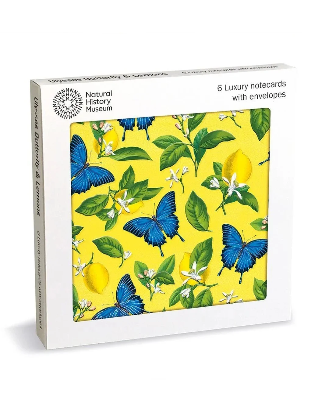ulysses-butterfly-lux-sq-notecards