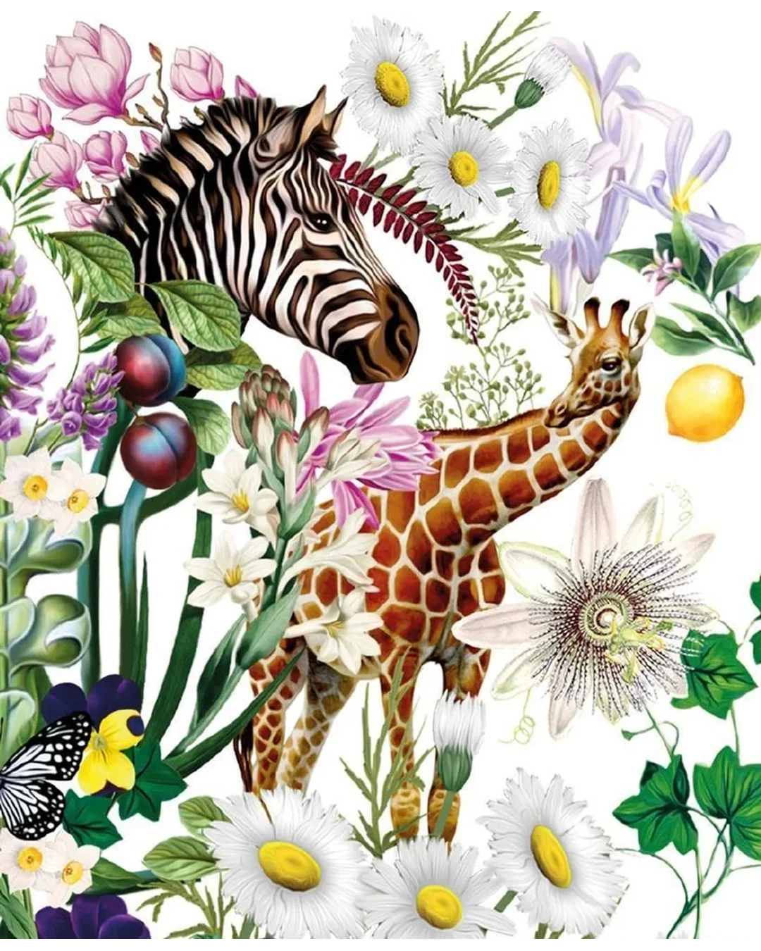 zebra-collage