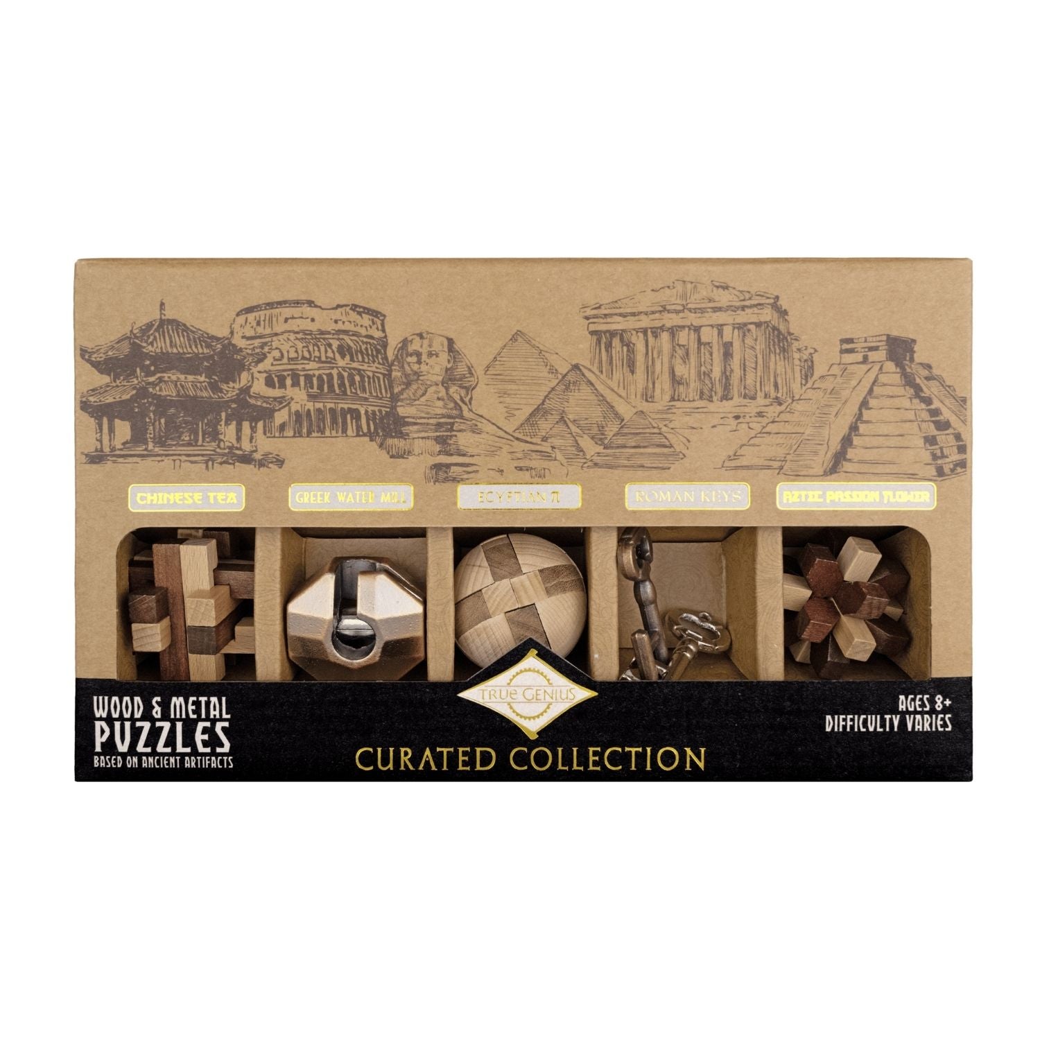 Project Genius Curated Collection 5-Pack Puzzle Set Mechanical Puzzles
