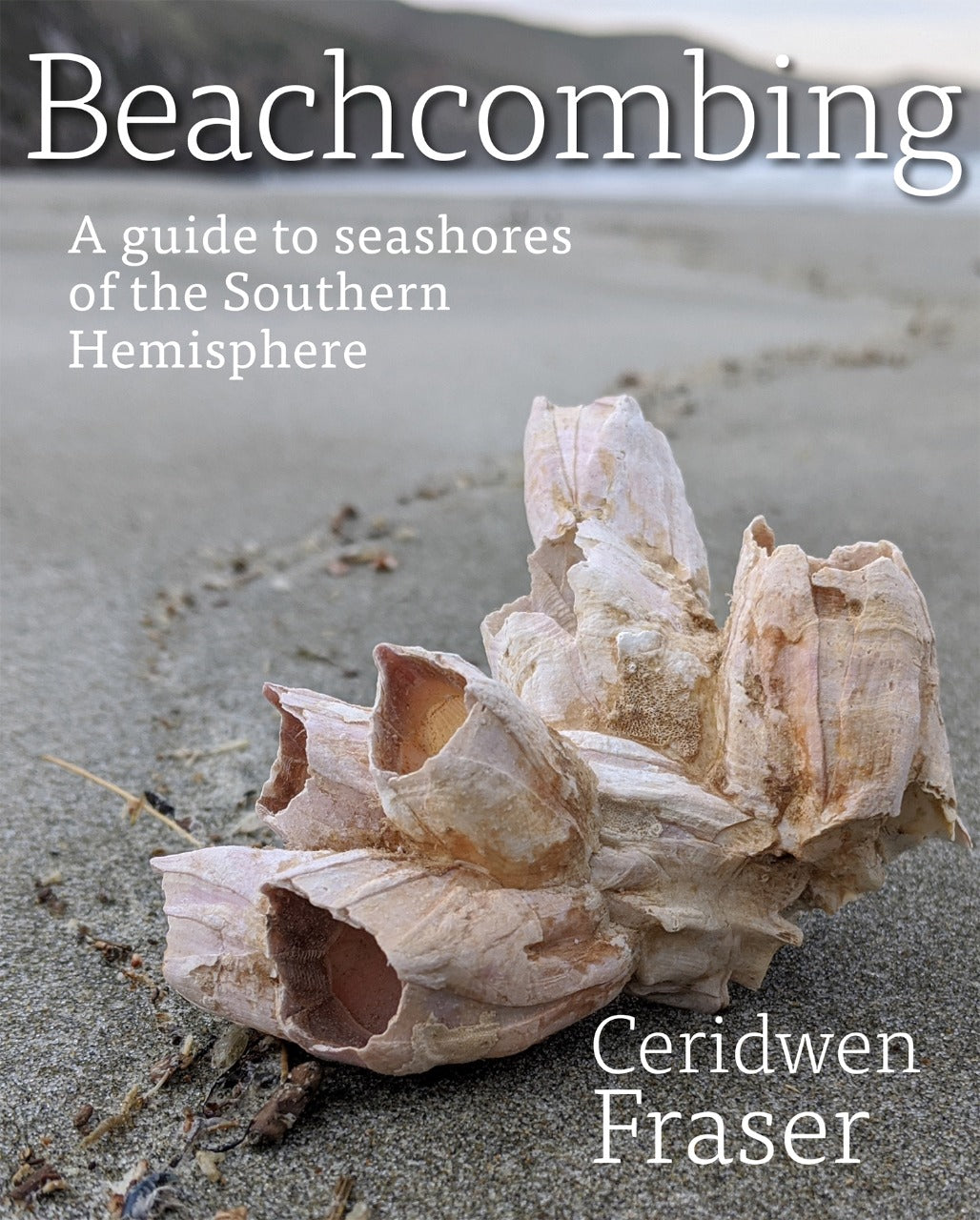 beachcombing-a-guide-to-seashores-of-the-southern-hemisphere
