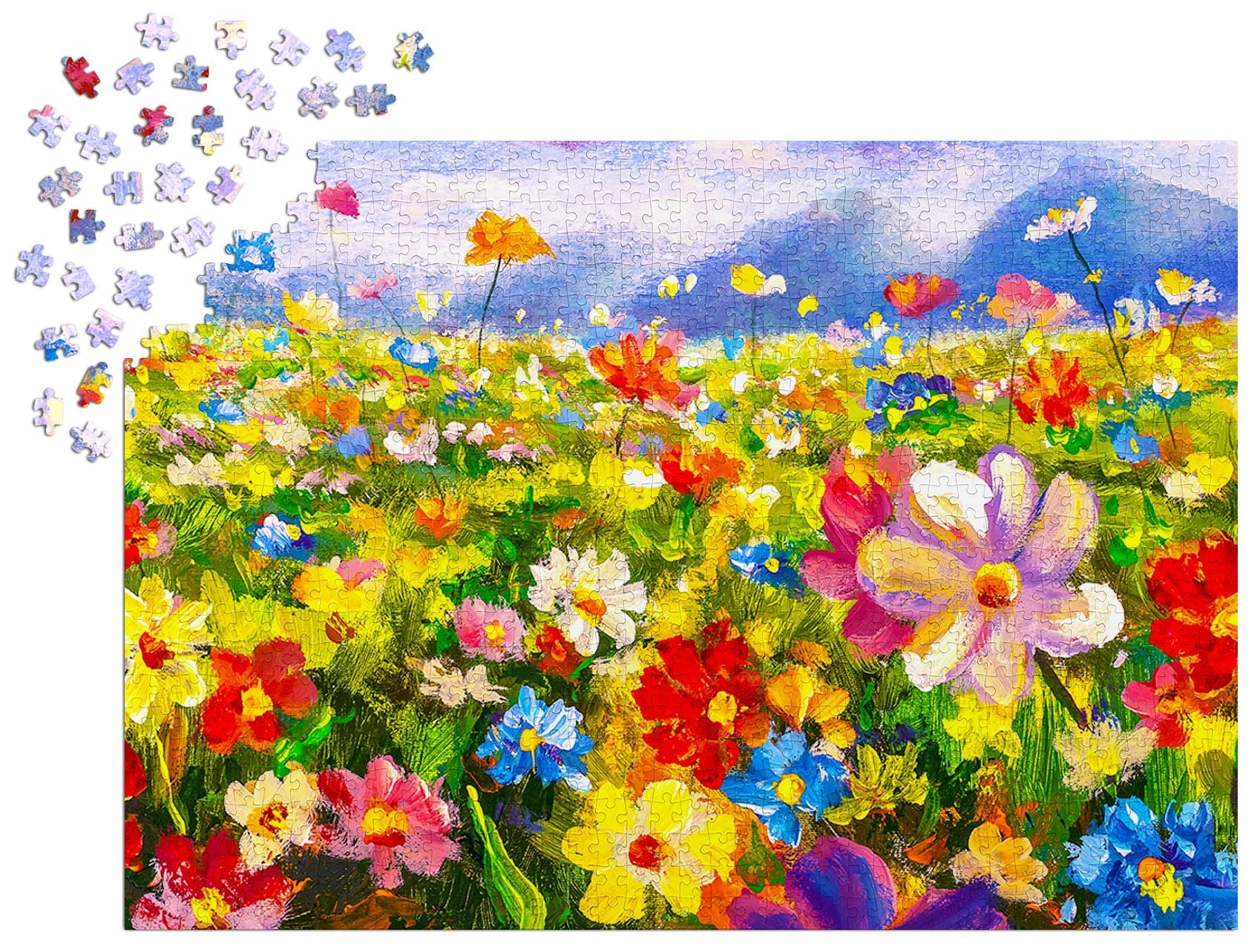 Colorful Flower Meadow, 1000pcs