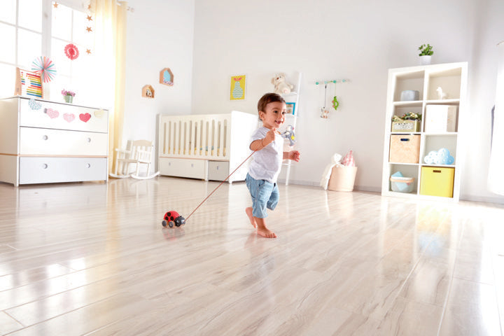 hape-lady-bug-pull-along