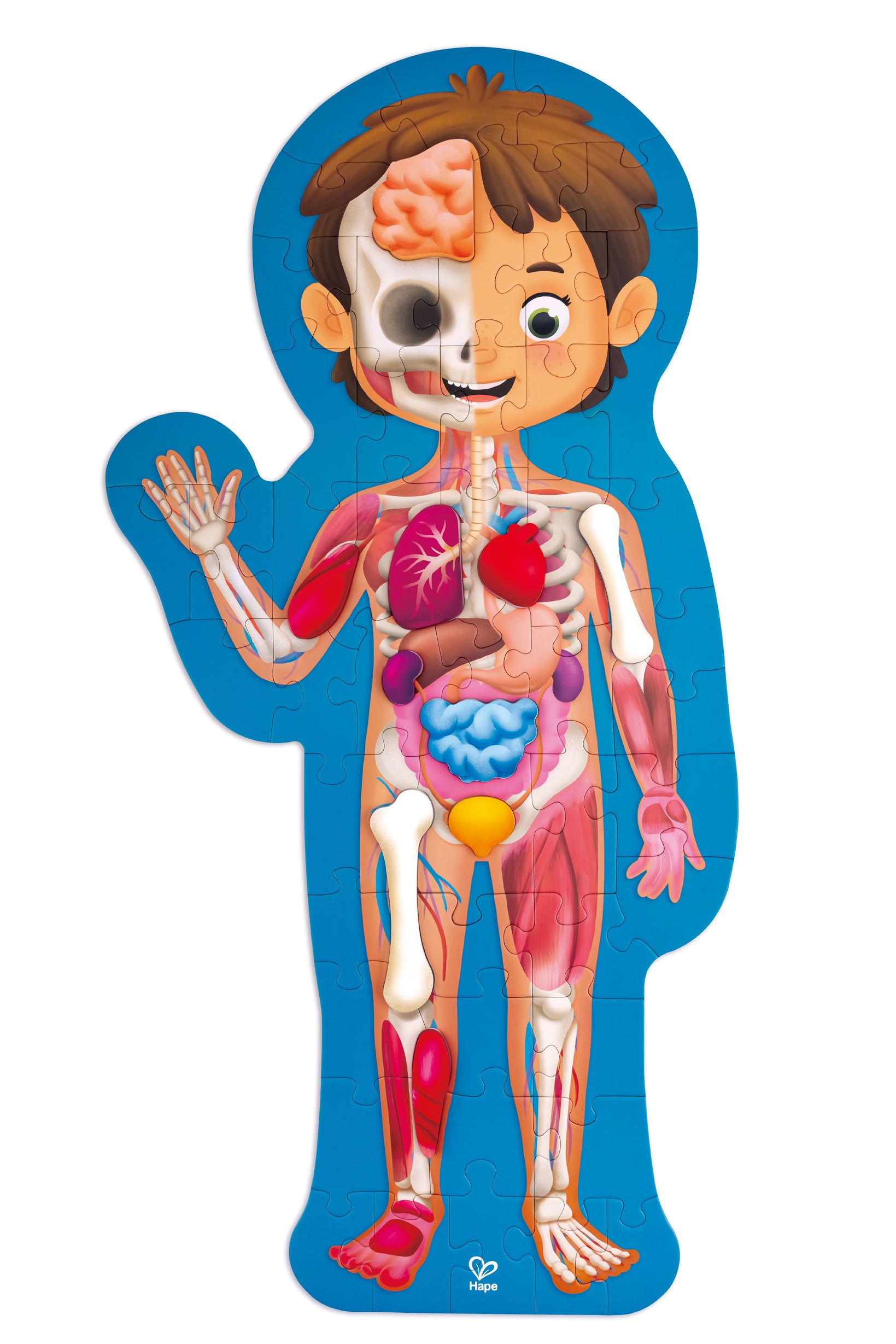 hape-50pc-human-body-puzzle