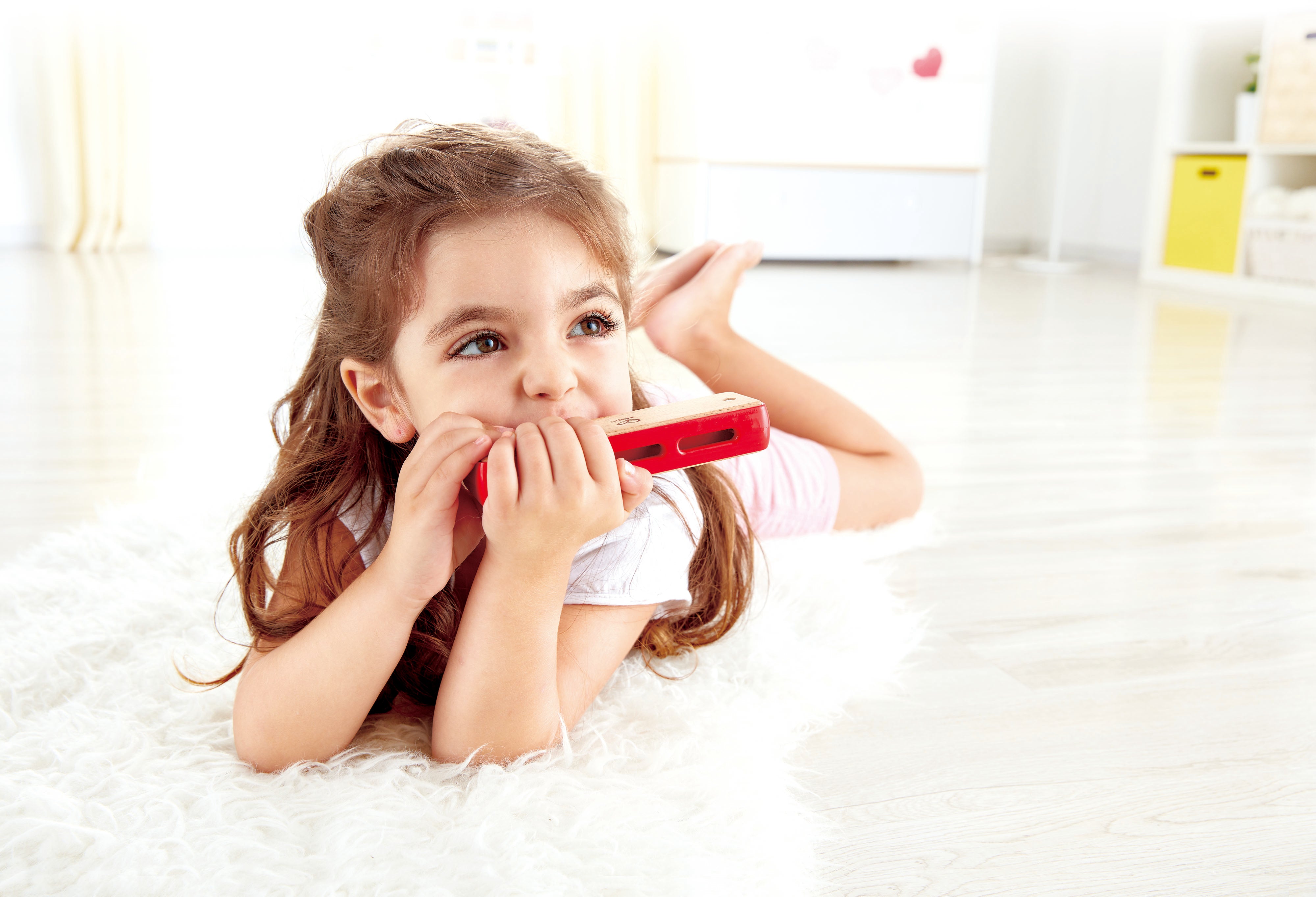 hape-blues-harmonica