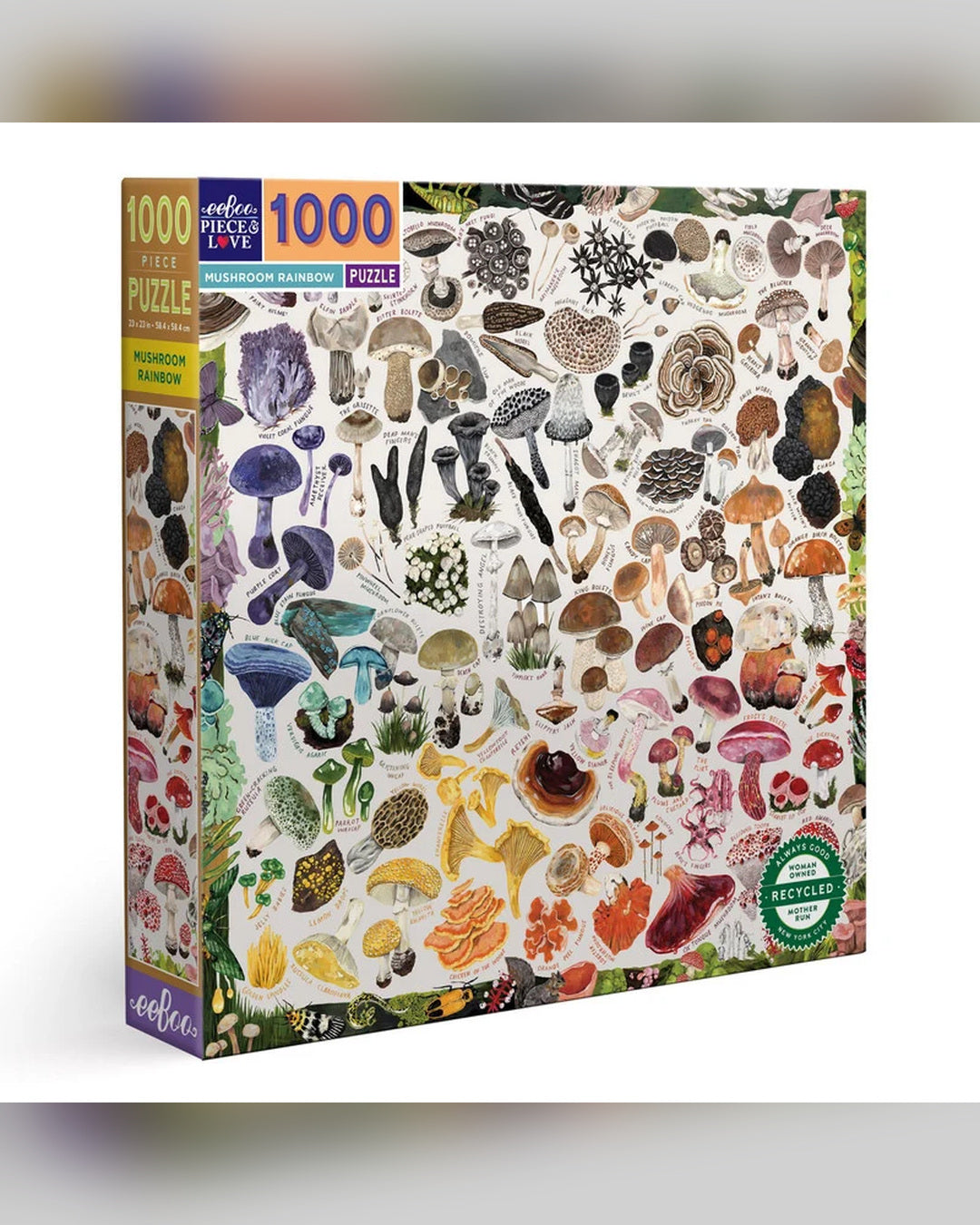 eeBoo 1000pc Puzzle: Mushroom Rainbow