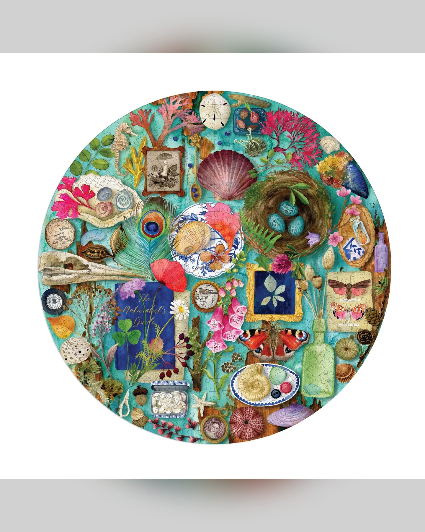 eeBoo Collecting Nature 500-Piece Round Jigsaw Puzzle