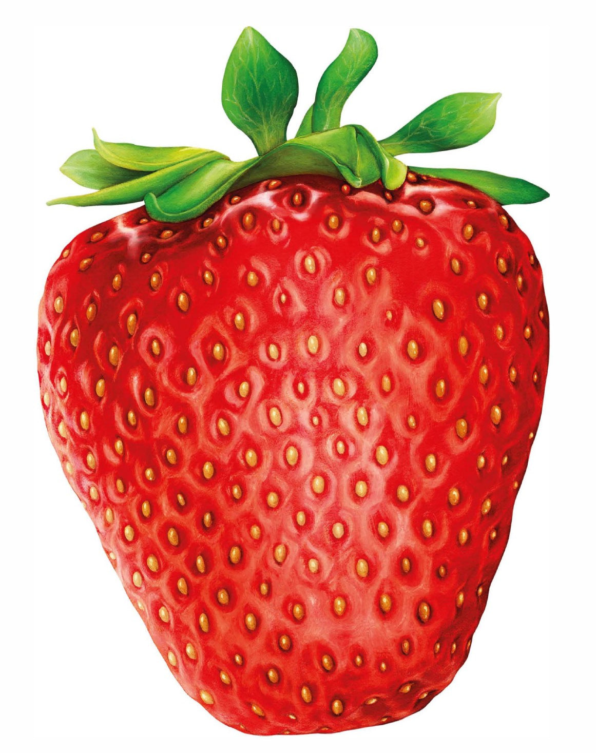 I Like Strawberry, Puzzle, 1000pcs