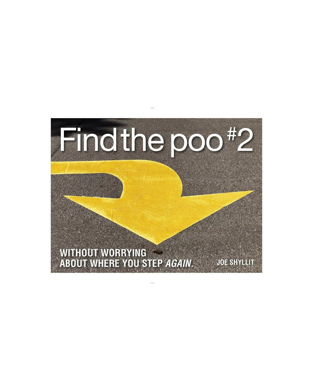 Find the Poo #2 by Joe Shylitt