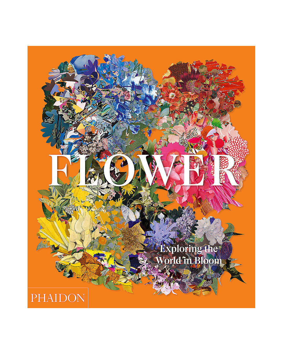 Flower: Exploring the world in bloom by Phaidon Editors