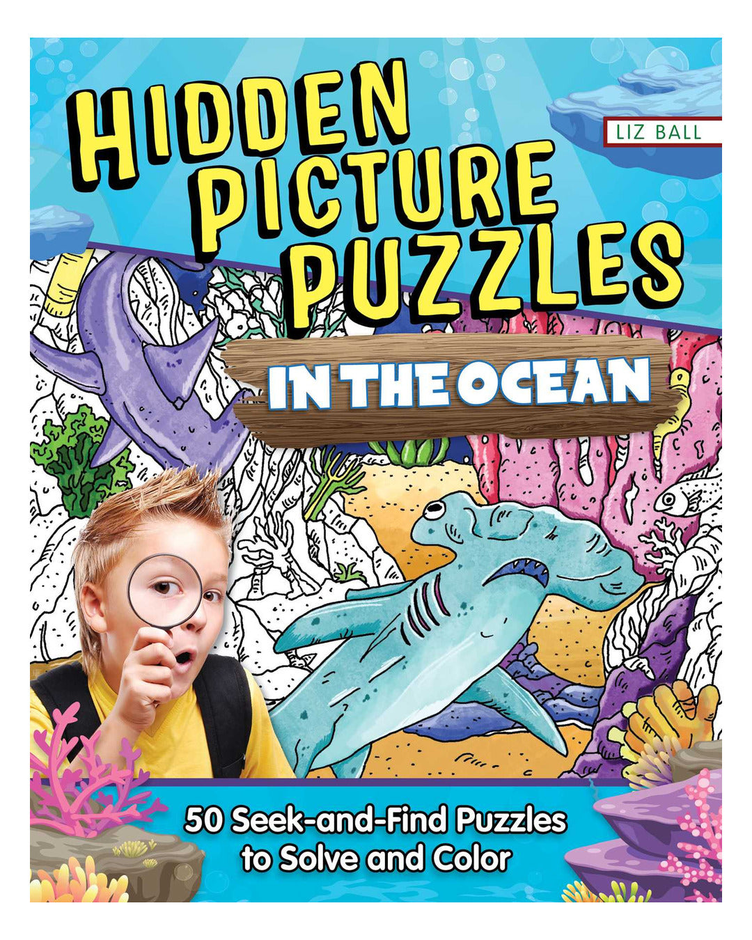 Hidden Picture Puzzles in the Ocean by Liz Ball