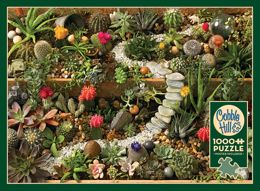 SUCCULENT GARDEN, 1000PCS, Compact