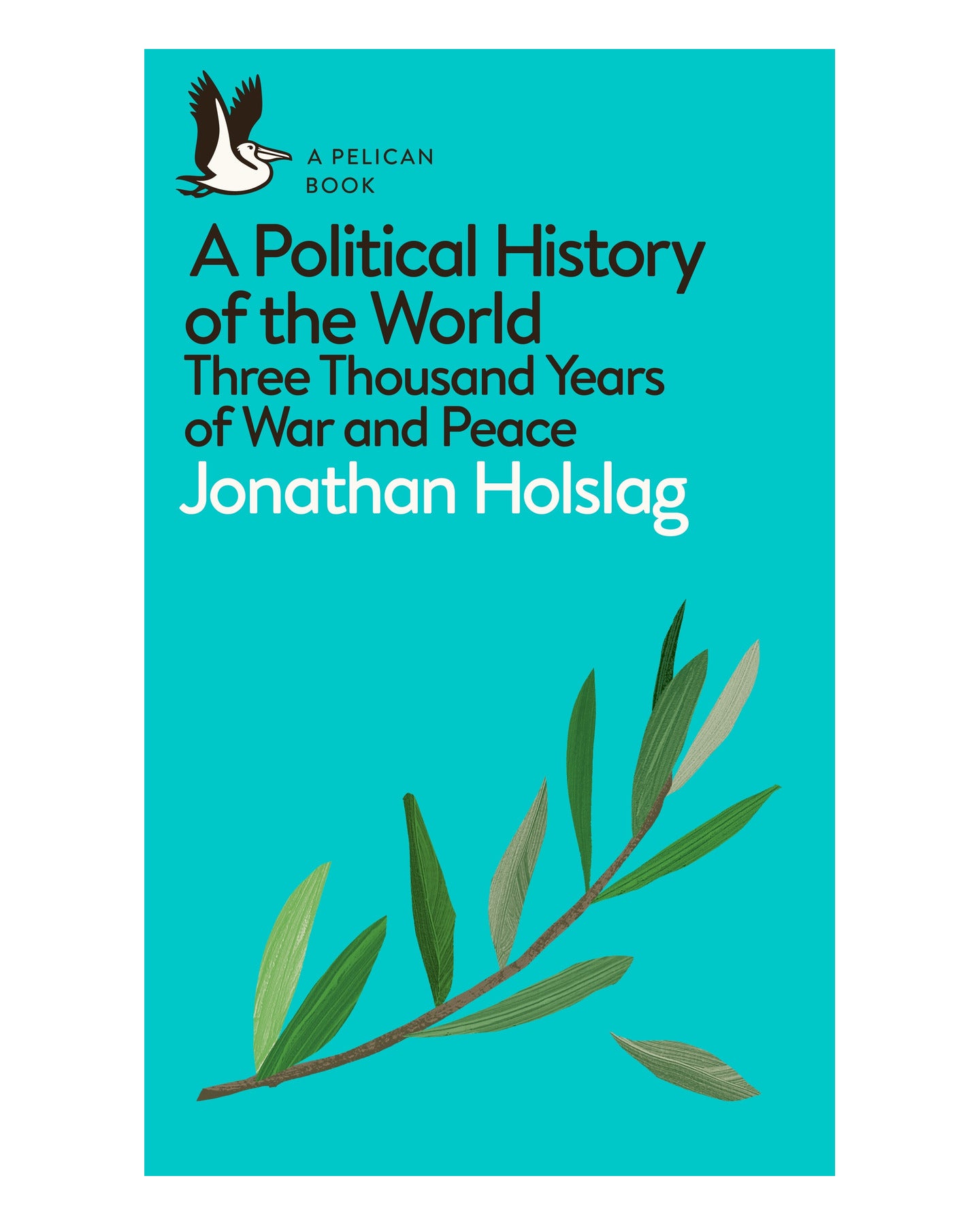 A Political History of the Wor by Jonathan Holslag