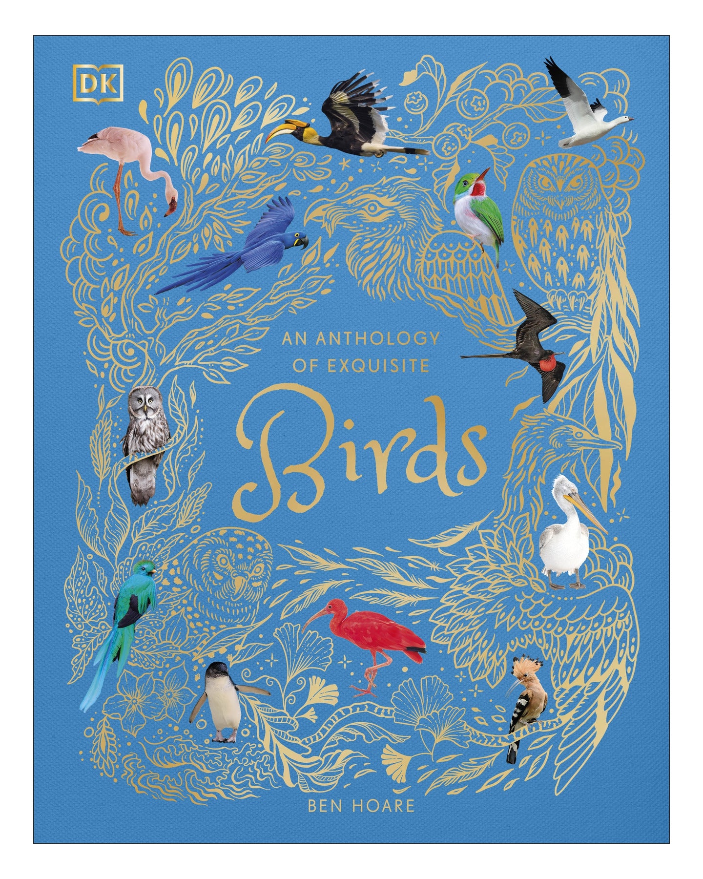 Anothology of Exquisite Birds: DK by Ben Hoare
