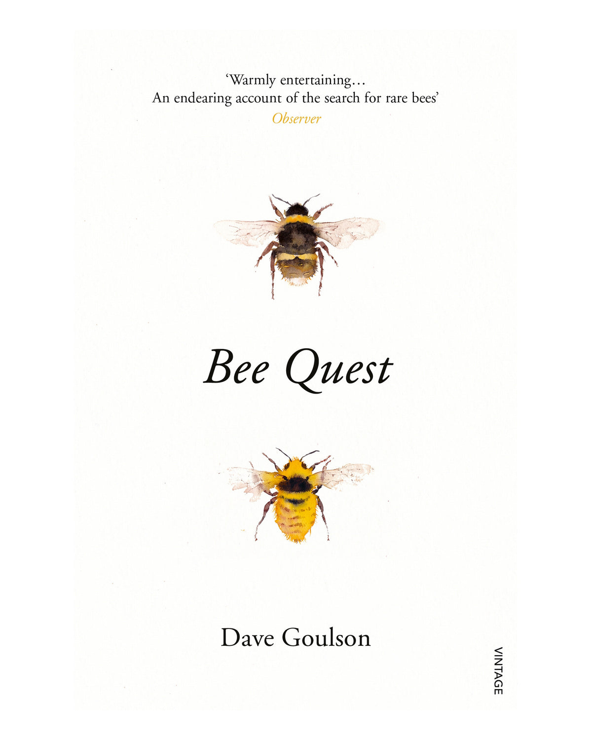 Bee Quest by Dave Goulson