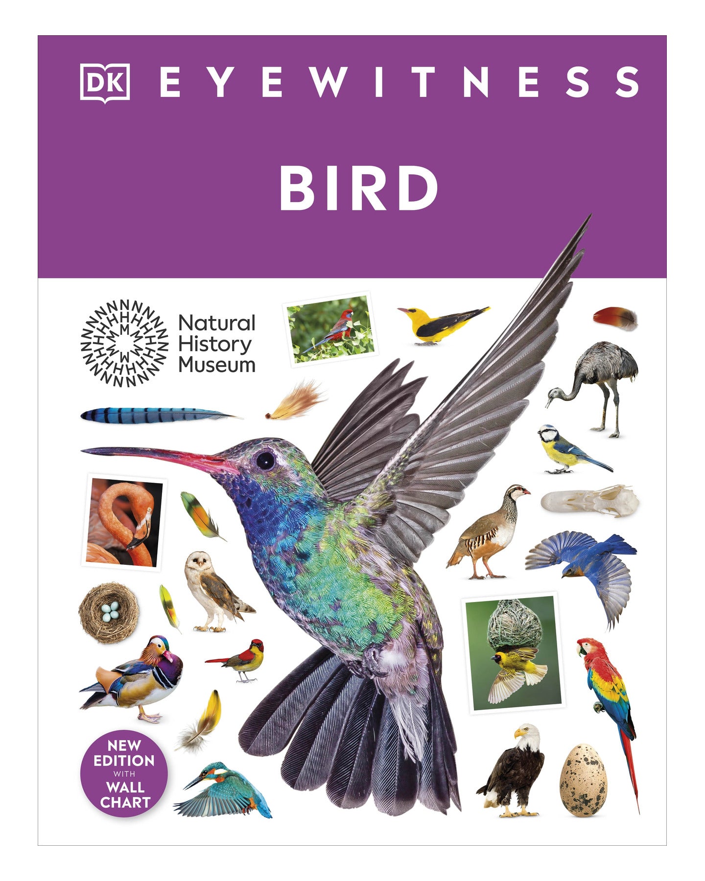 DK Eyewitness: Bird