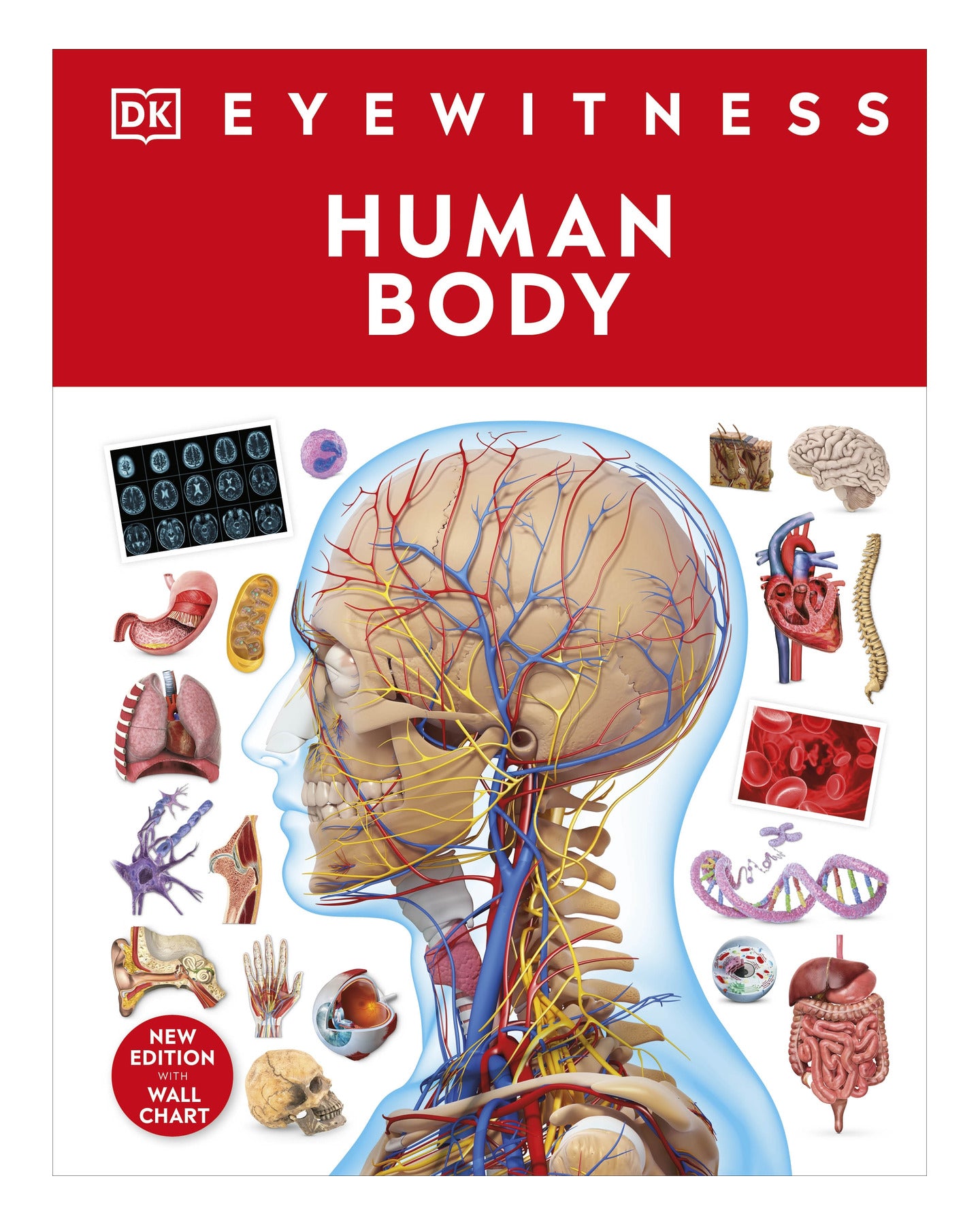 DK Eyewitness: Human Body