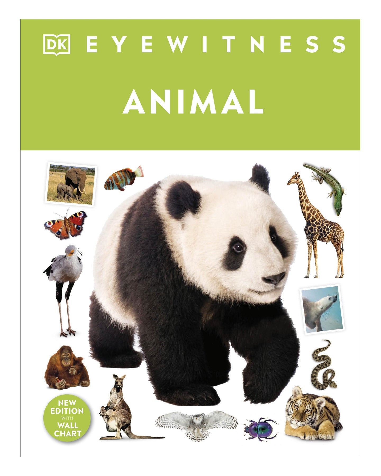 Eyewitness Animal DK