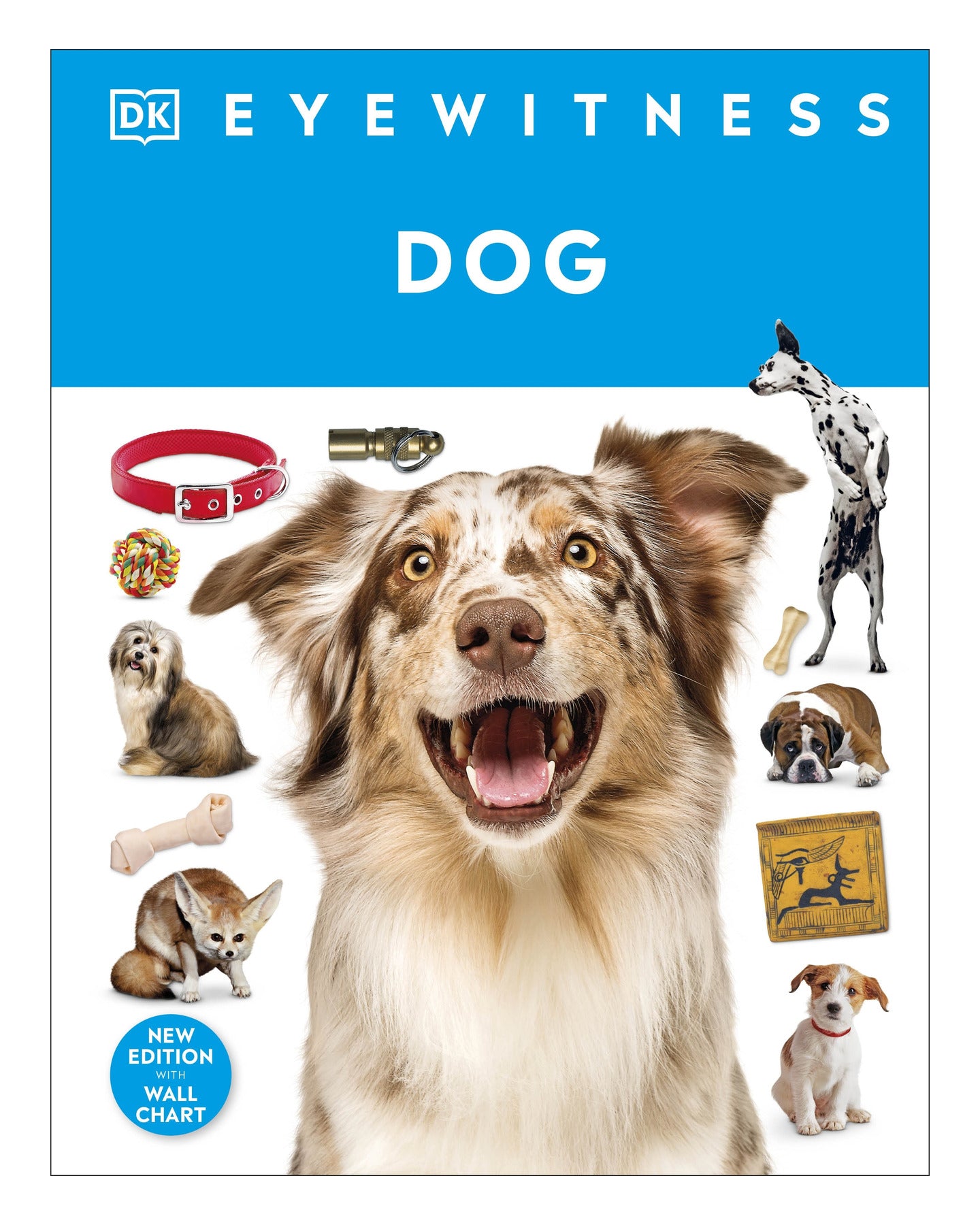 Eyewitness Dog by DK