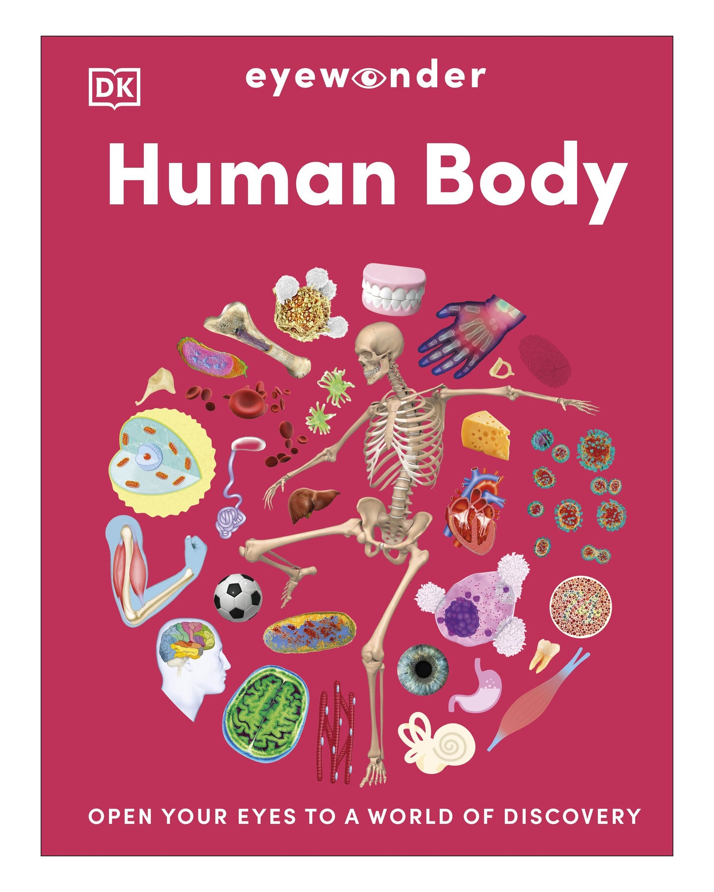 Eyewonder Human Body DK