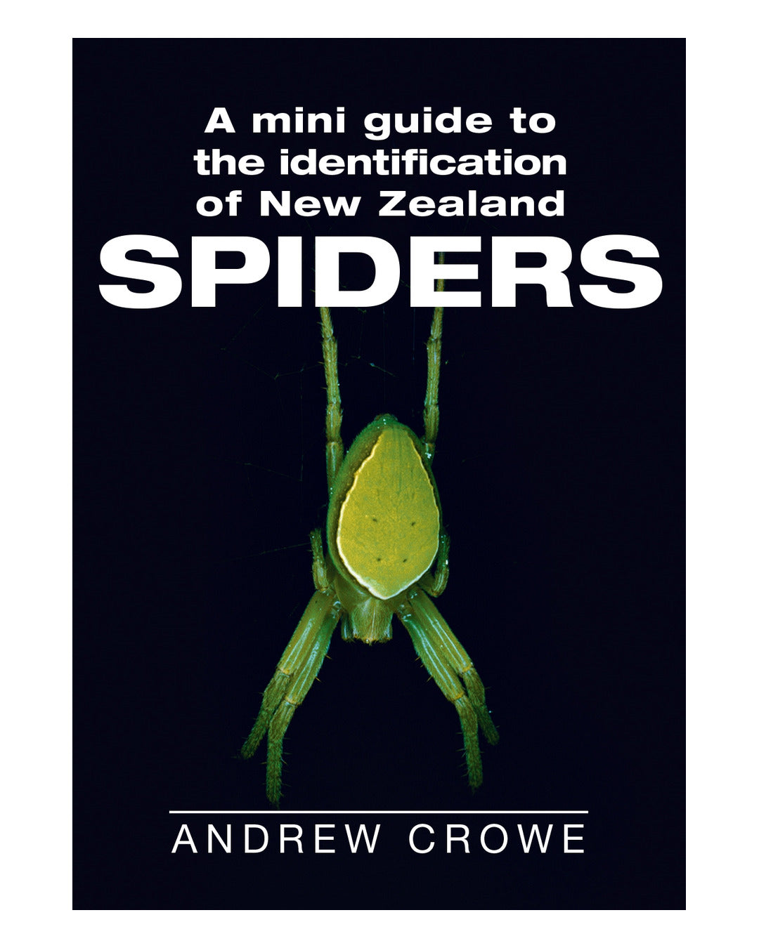 Mini Guide to NZ Spiders by Andrew Crowe