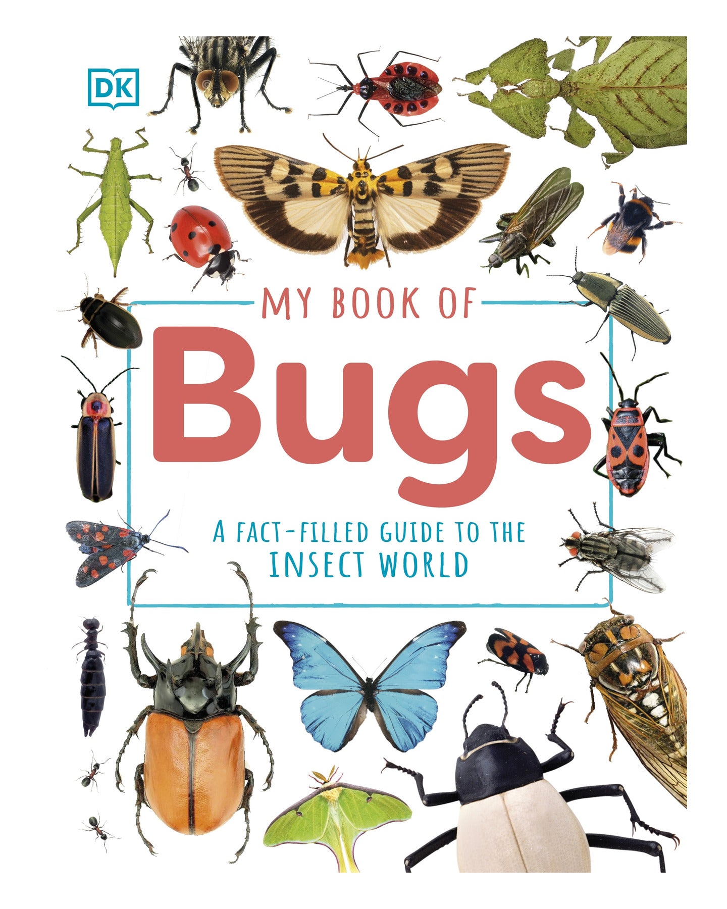My Book of Bugs DK