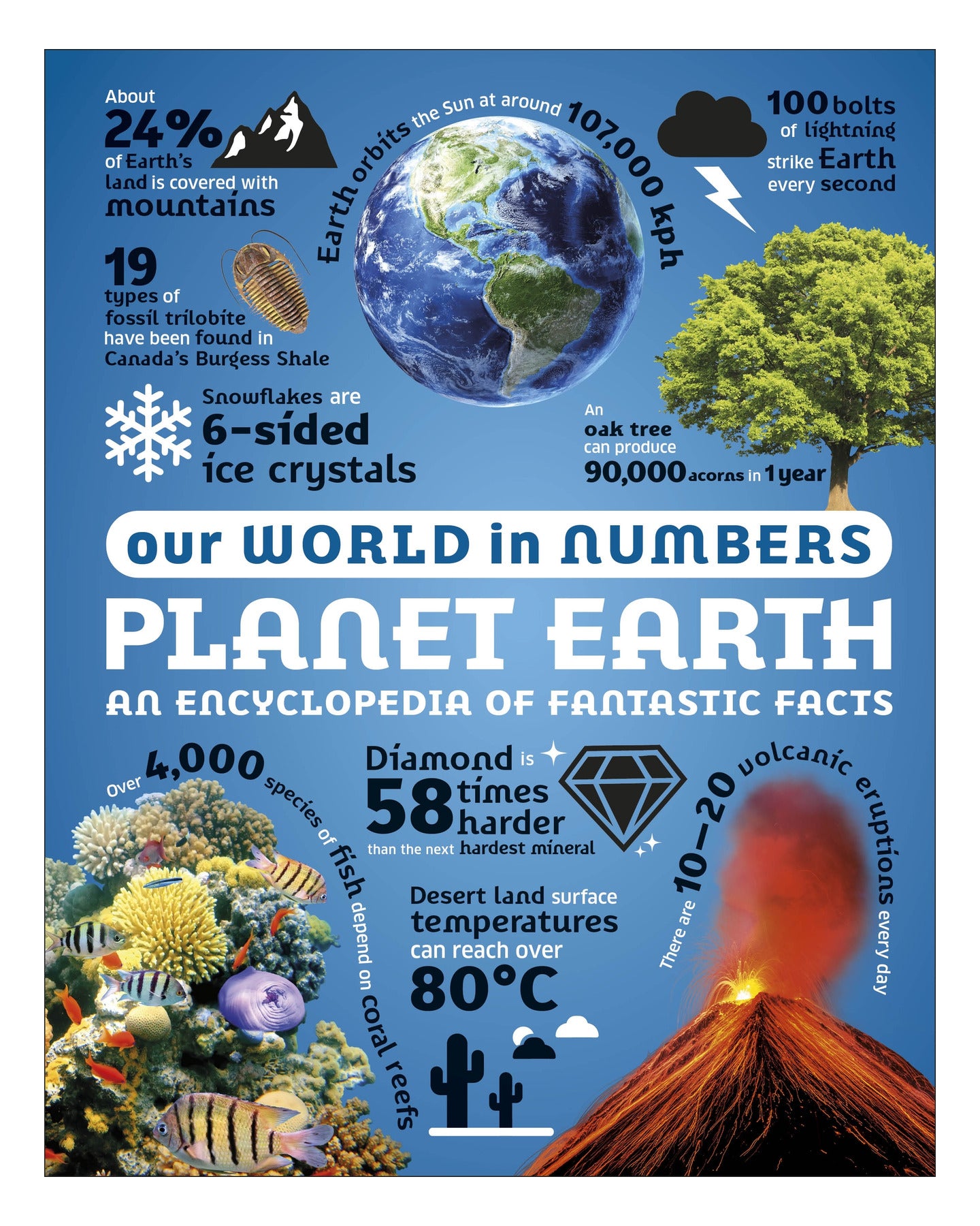 Our World in Numbers Planet Earth DK