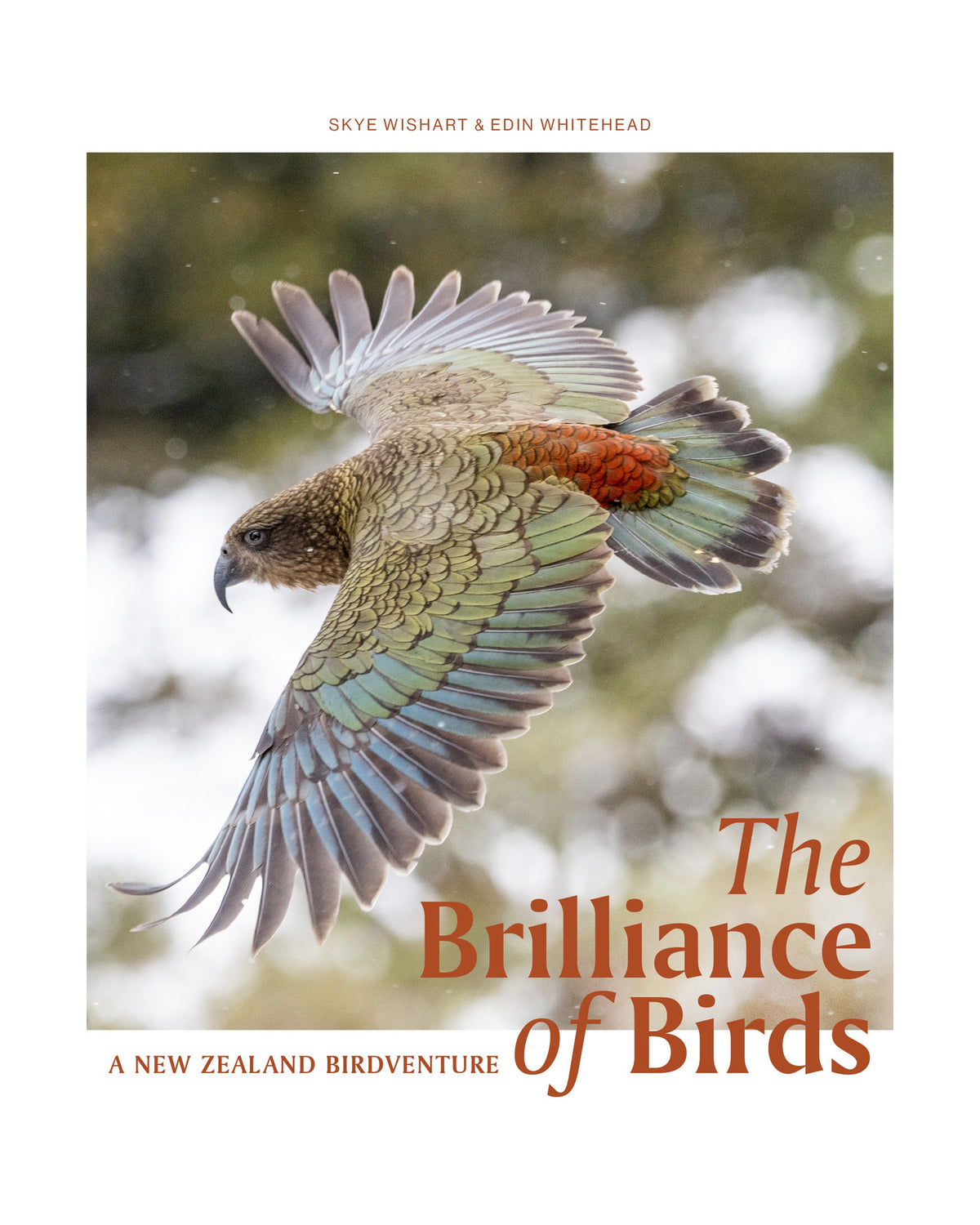 The Brilliance of Birds by Skye Wishart