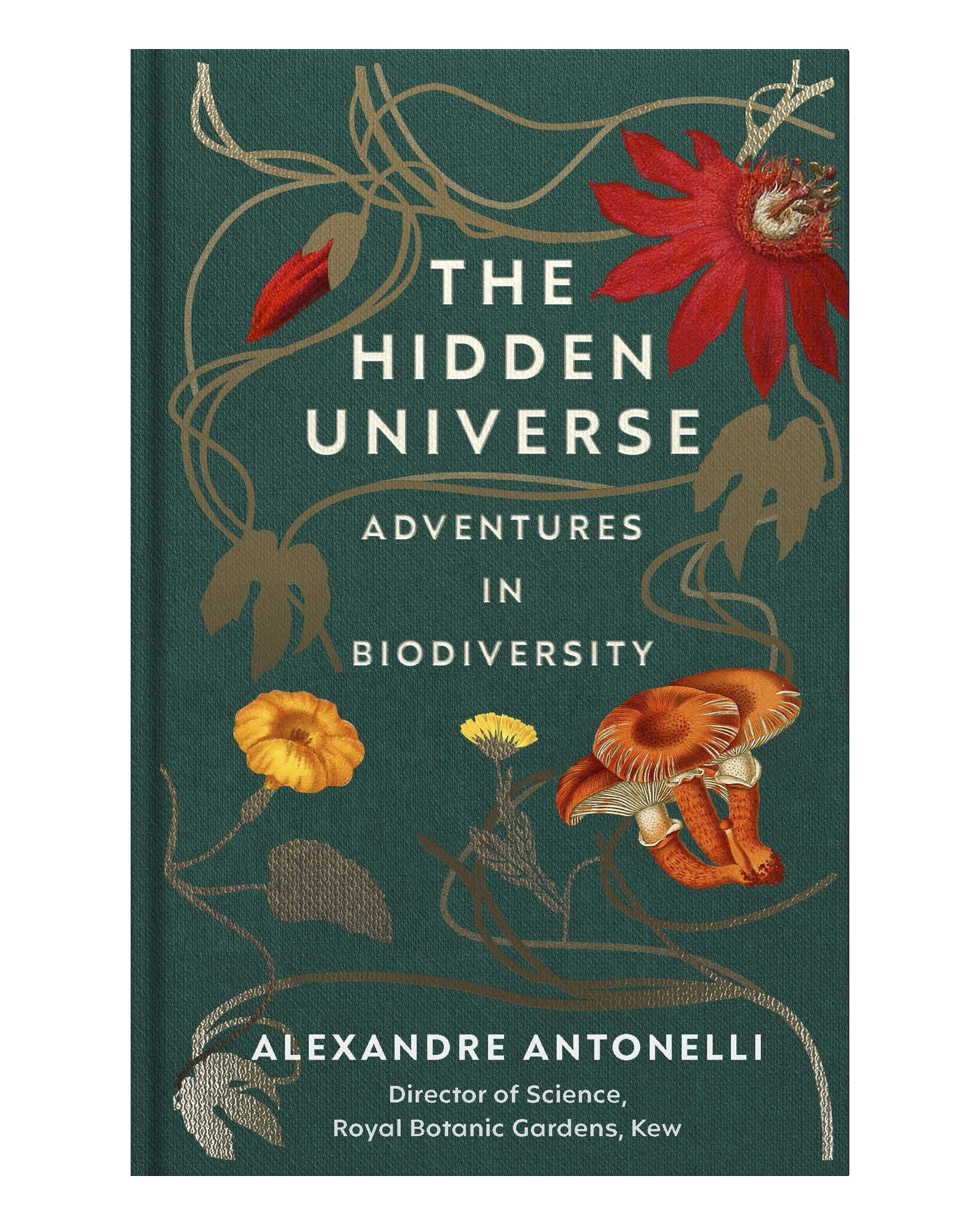 The Hidden Universe HB by Alexandre Antonelli