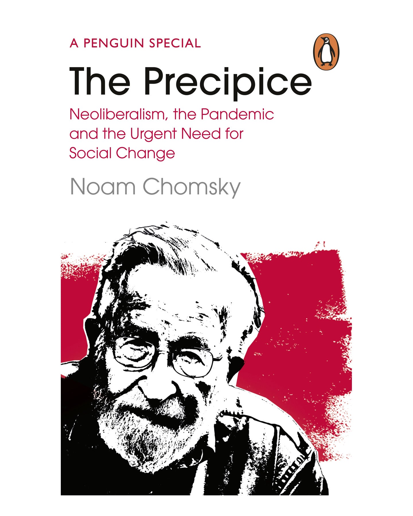 The Precipice by Noam Chomsky