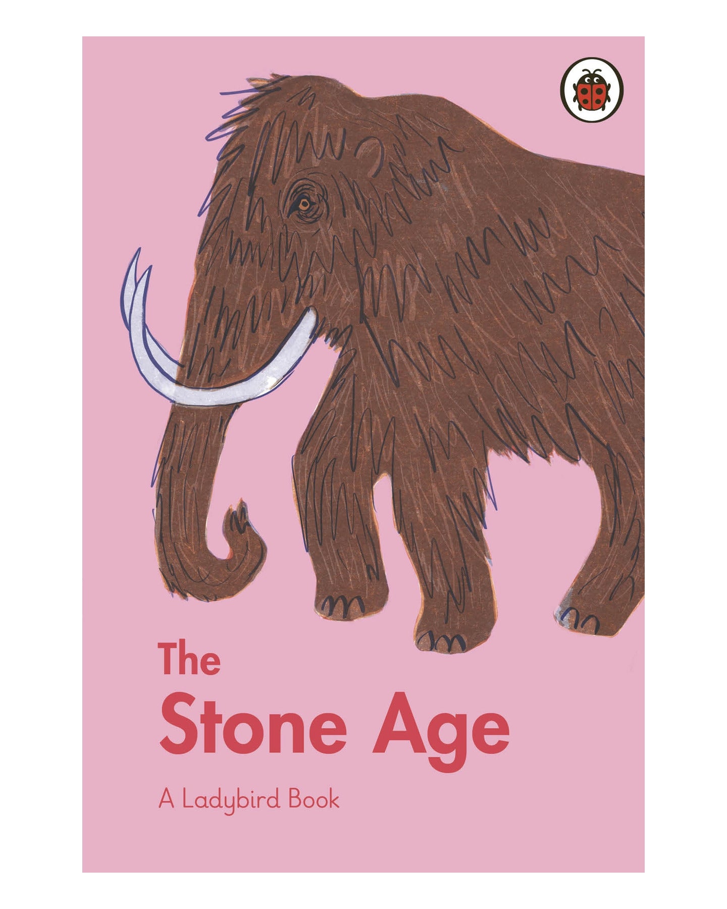 The Stone Age by Ladybird Books